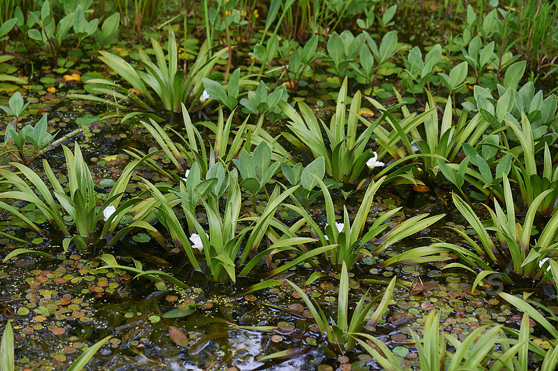 p3900351671-4.jpg