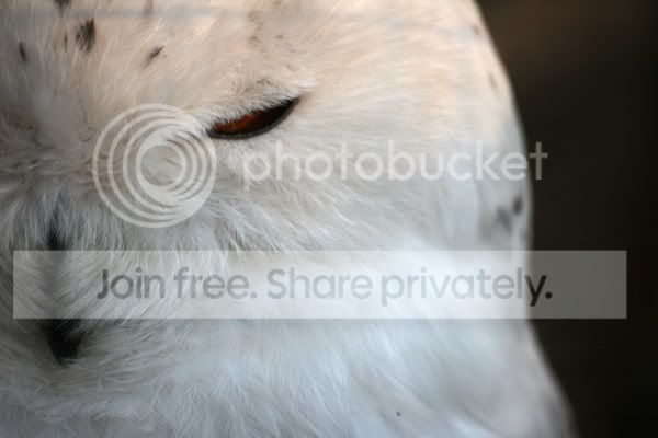 IMG_5489.jpg