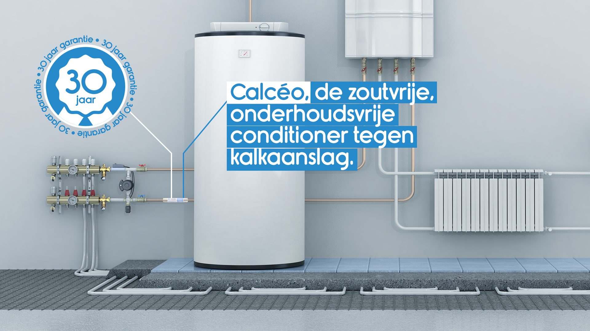 www.calceo.be