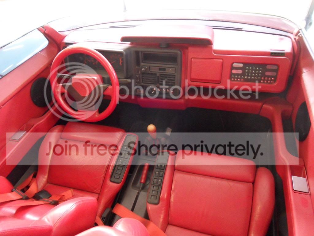 SDC12474.jpg