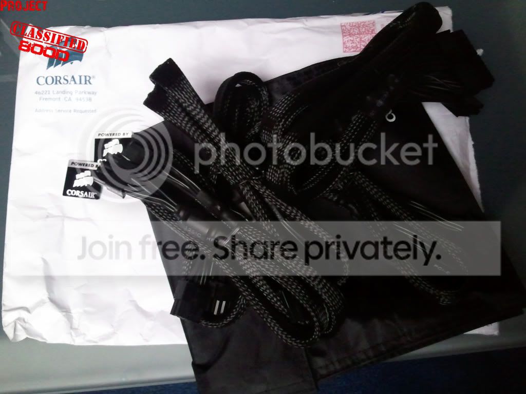 2010-10-13170834.jpg