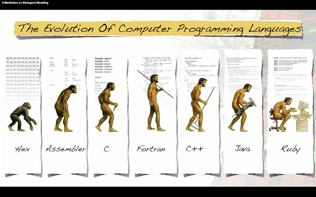 4833512699_761a3fcc61_b.jpg