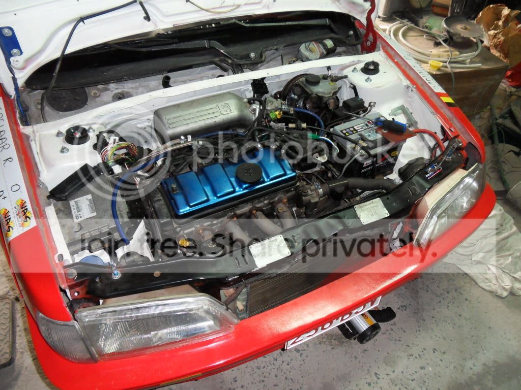 SDC13304.jpg