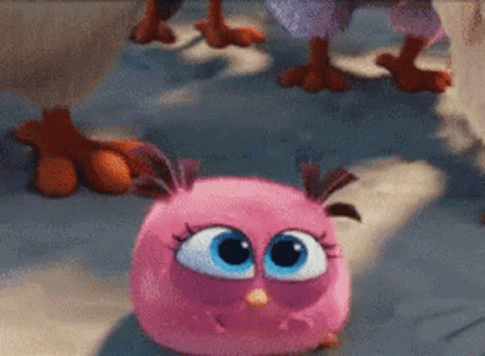 angry-birds-pink-screaming-out-loud-0y89b5lis9ecfuqq.gif