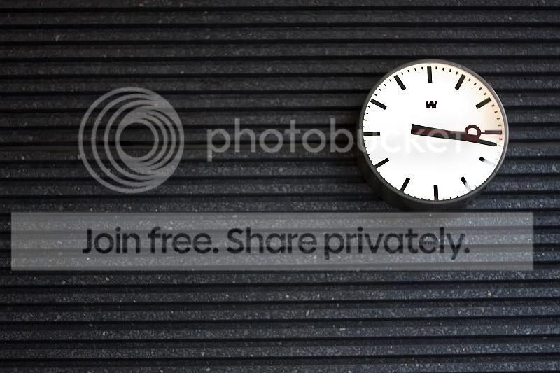 sized_IMG_3875.jpg