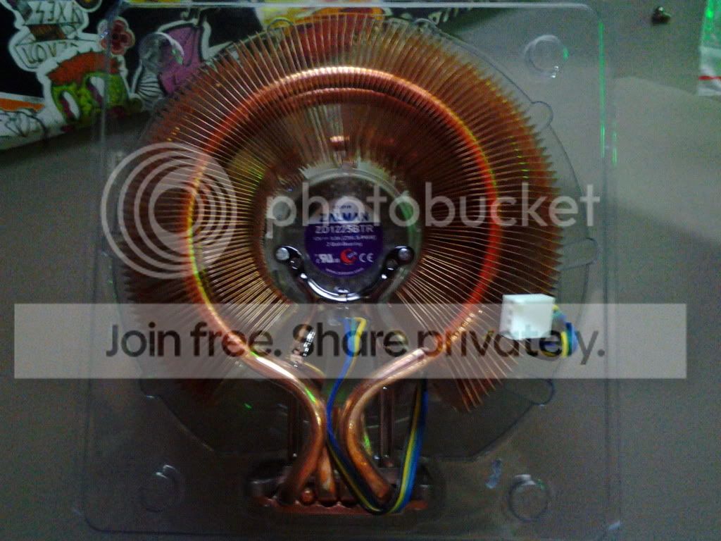 2012-07-15113106.jpg