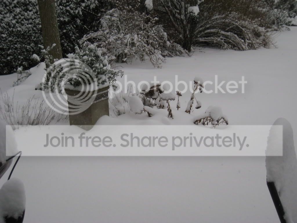 IMG_4574.jpg