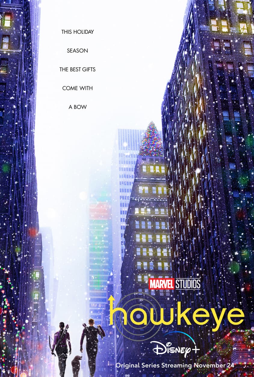 hawkeye_digital_keyart_teaser_v3_lg.jpg