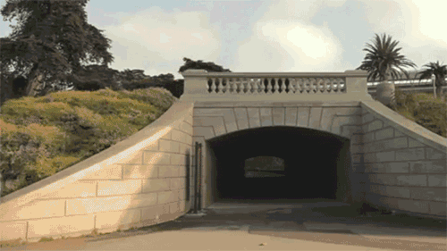 tumblr_m9u1roVS521r30n7no1_r1_500.gif