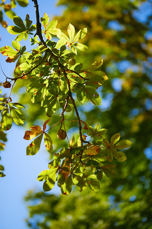DSCF5681-M.jpg