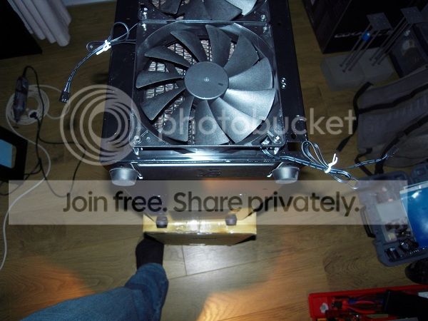 SDC11825.jpg
