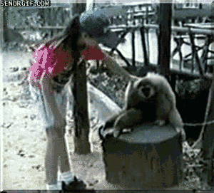 Q2Q4tlMrokqQwEVW7tCY_w2.gif