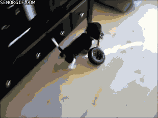 h6B726C8C