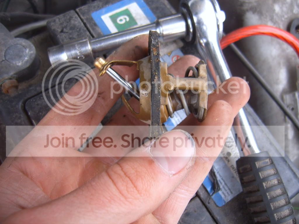 SUC51825.jpg