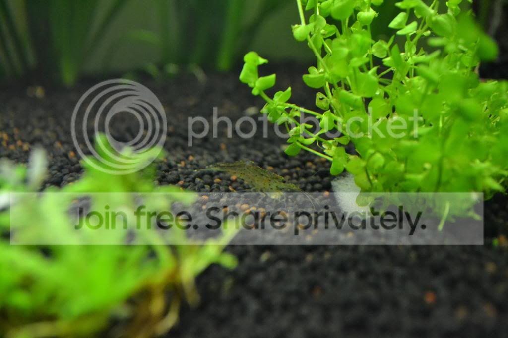 DSC_1538_zps454bc4d3.jpg