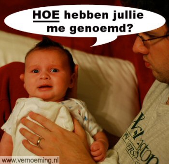 www.vernoeming.nl