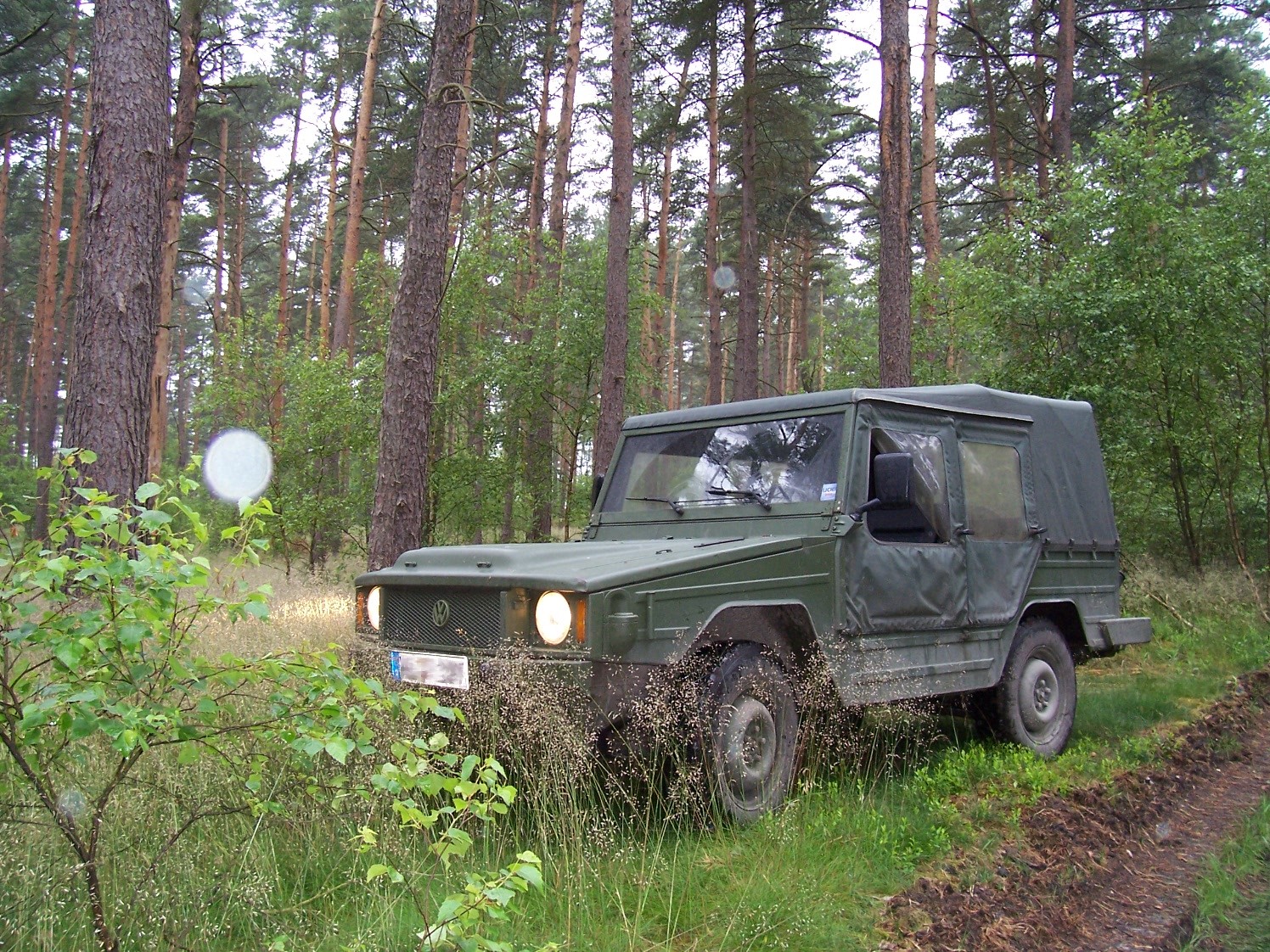 VW_Iltis_003.jpg