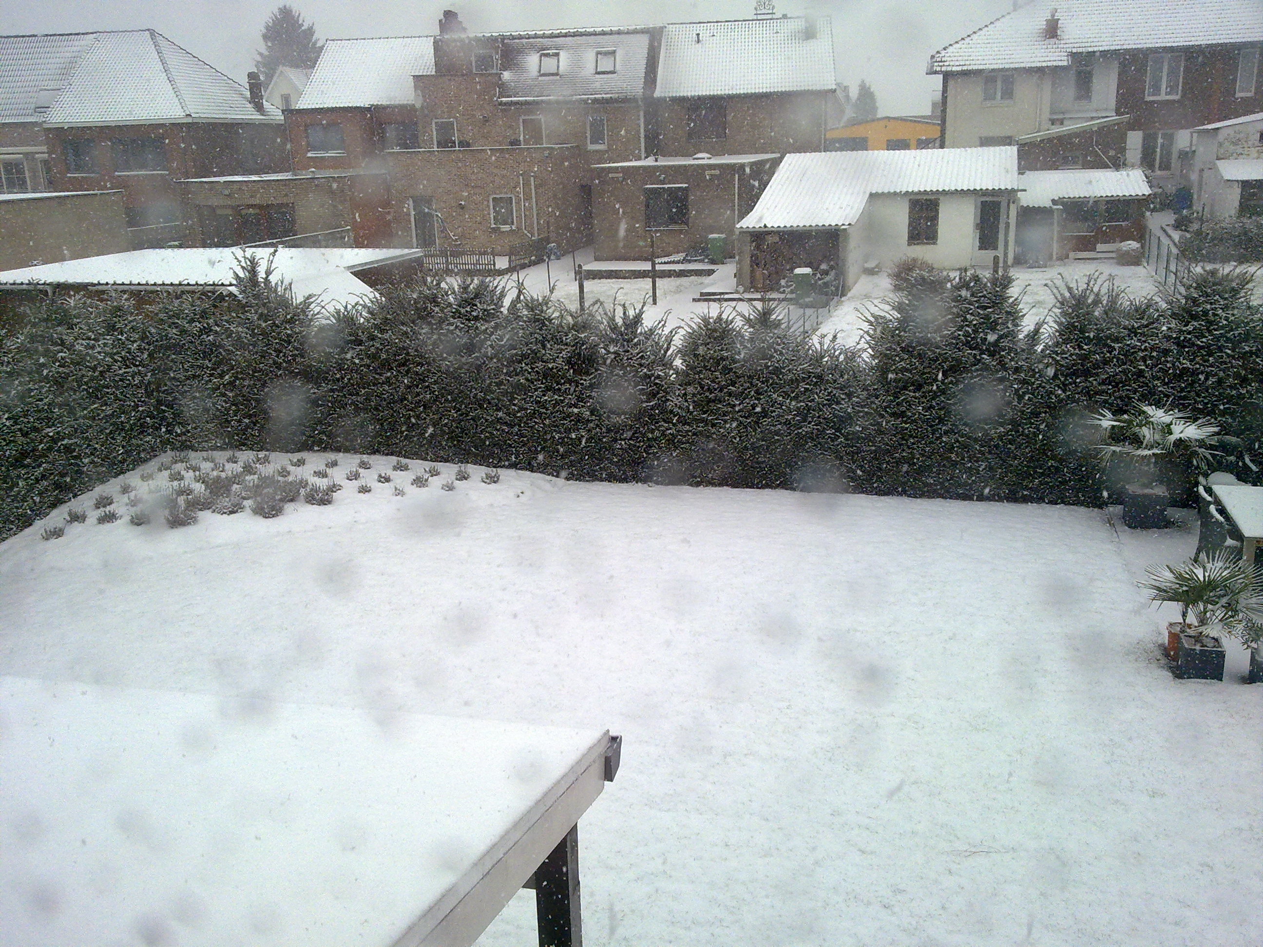 1132013231040.jpg