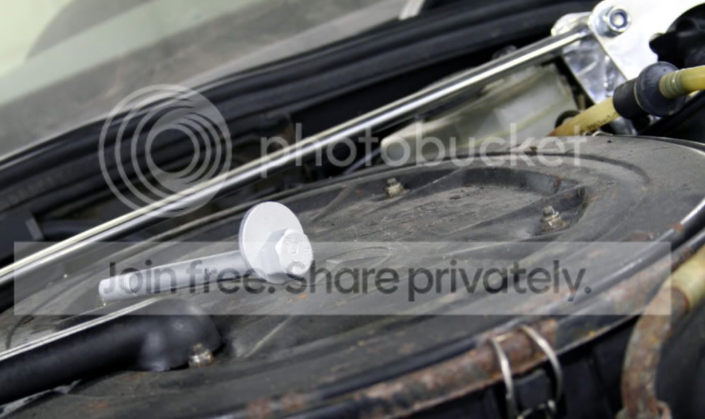 IMG_7240b.jpg