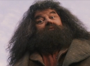 10433020150905173053.gif