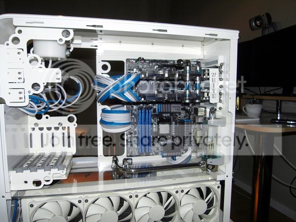 SDC11888.jpg