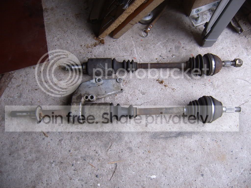 SUC51686.jpg