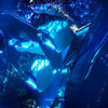 djstingray313.bandcamp.com