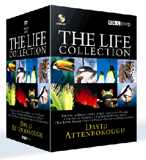 LIFE-COLL_3Dlrg-1-.gif