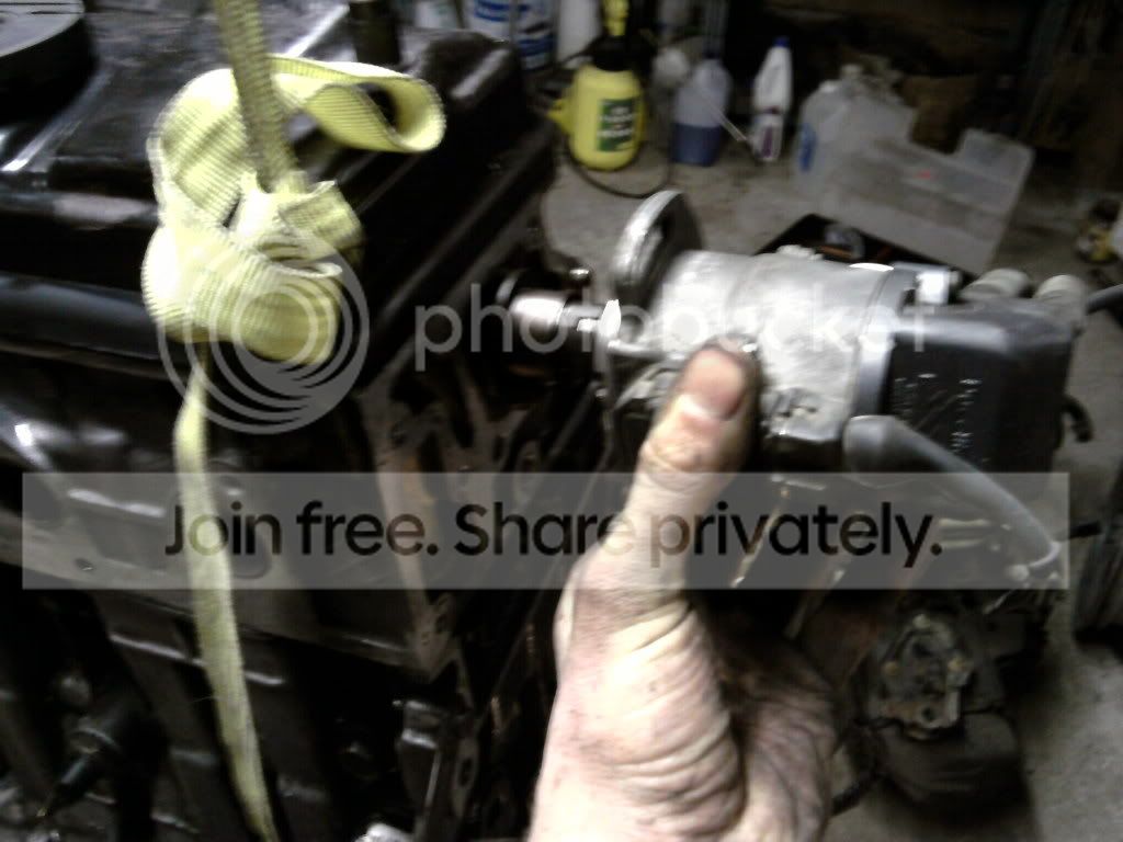 SP_A0210.jpg