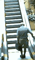 tumblr_lb7d0ldolq1qa7t32.gif