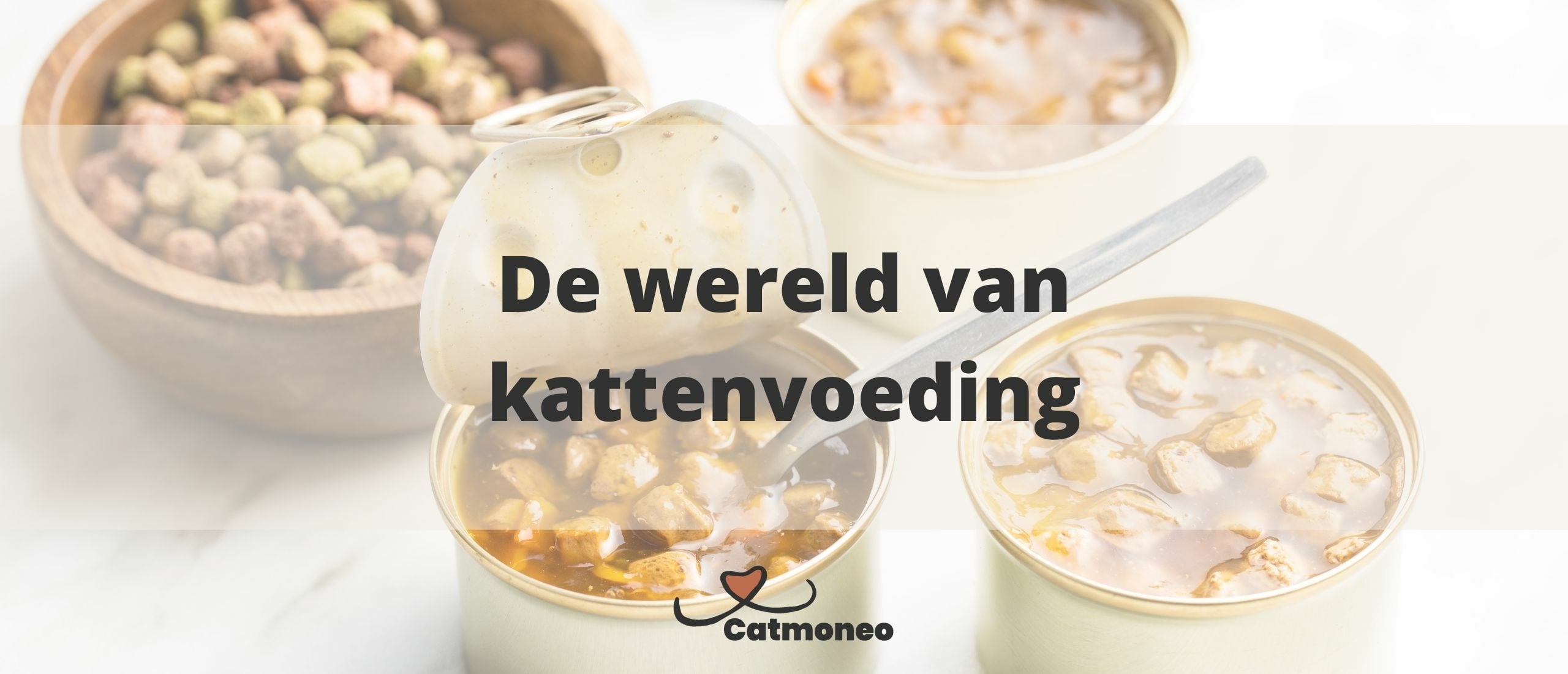 www.catmoneo.nl