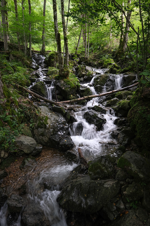 DSCF7729-XL.jpg