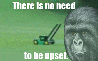 tumblr_m0izvrs3Dm1qfczas.gif