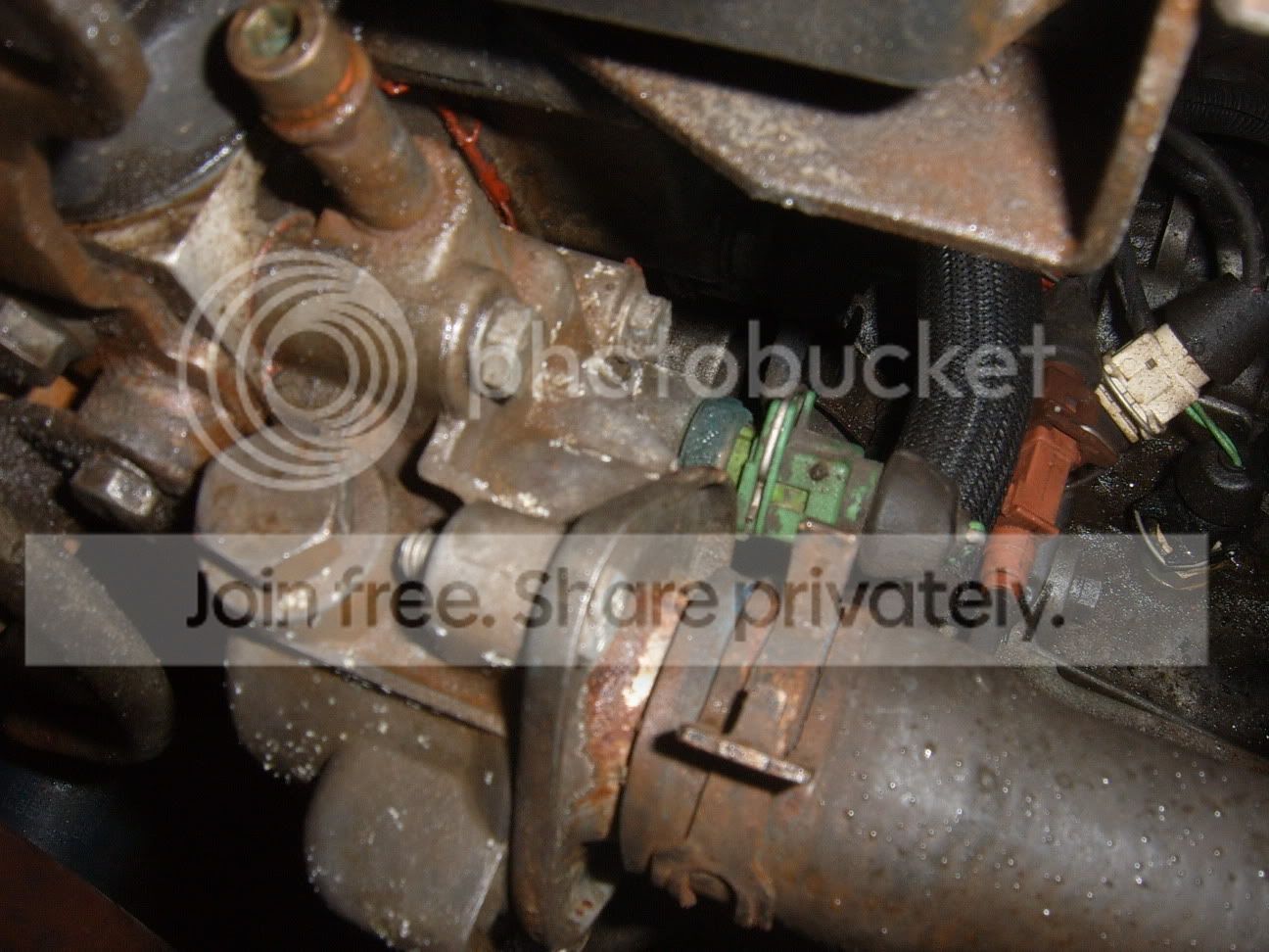 SUC50320.jpg