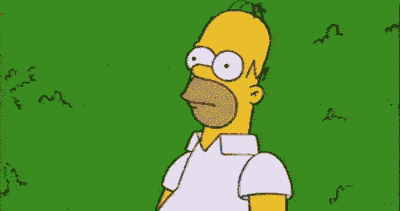 homer.gif