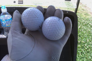 IMAG0334.jpg