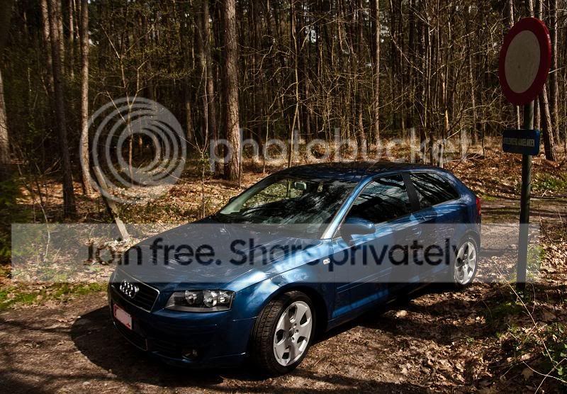sized_IMG_4174.jpg