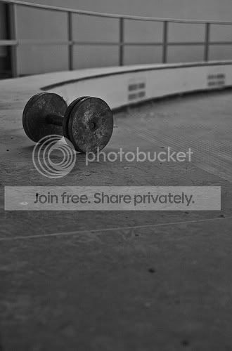 sized_IMG_3475.jpg