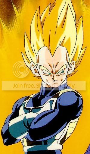 190SuperSaiyanVegeta8.jpg
