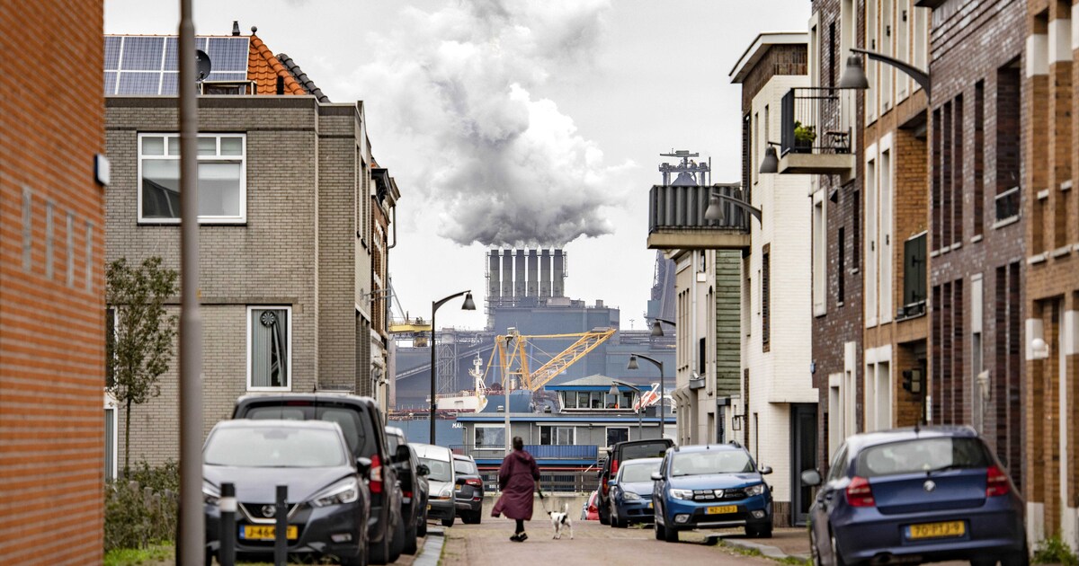 www.demorgen.be