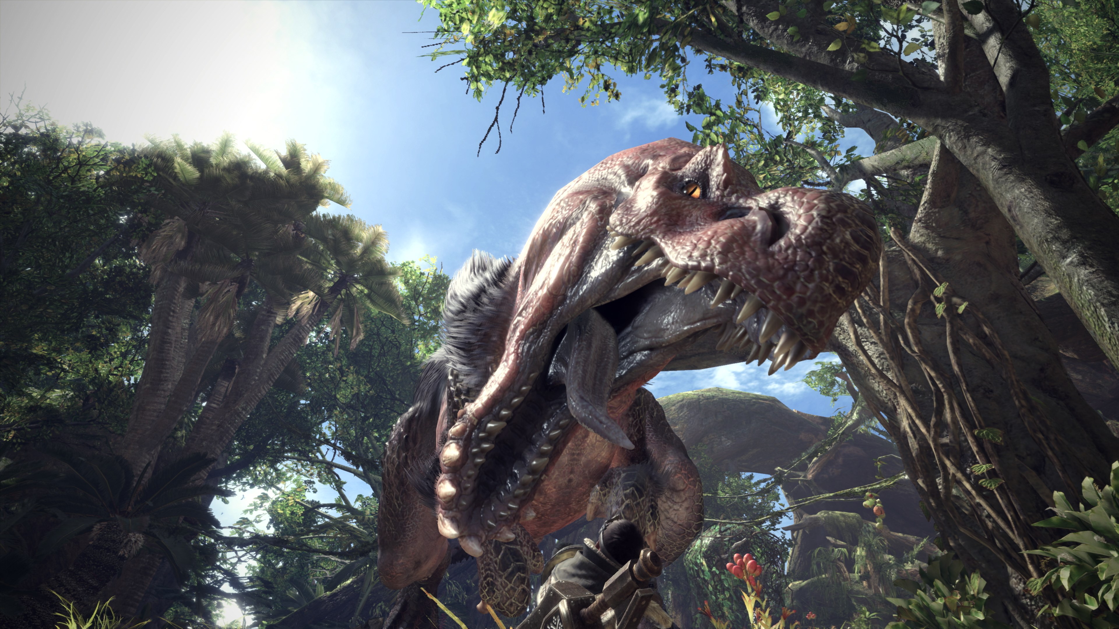 MHW_Jun122017_03.jpg