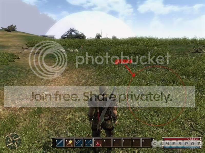 grass.jpg