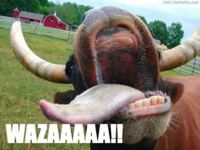 fwagraaa.jpg