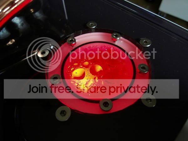 SDC10810.jpg