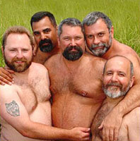 Bears.jpg