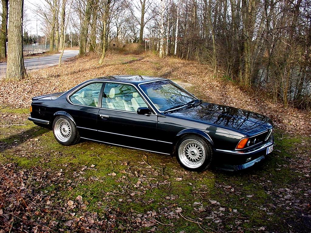 e24-in-the-woods.jpeg