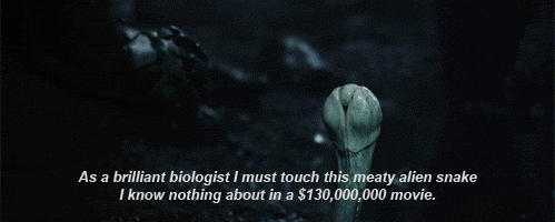 74823.gif