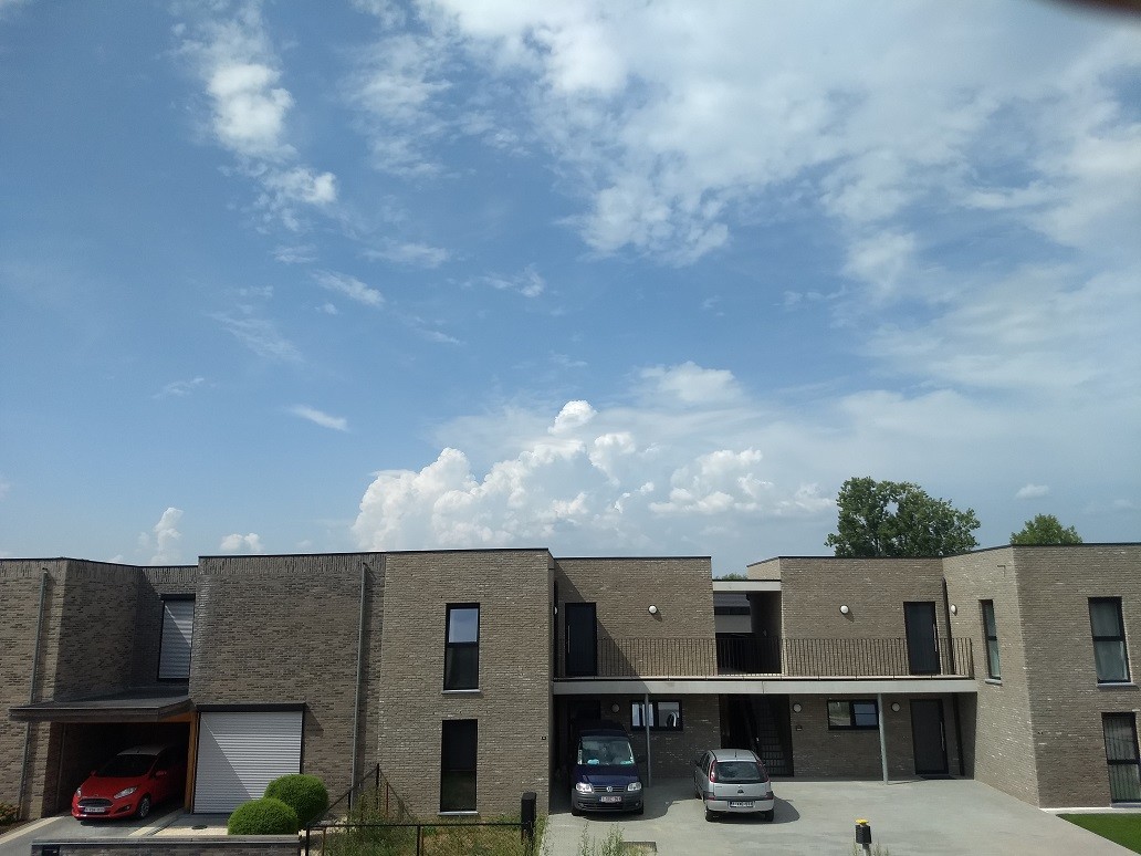 5f353797c0265.jpg