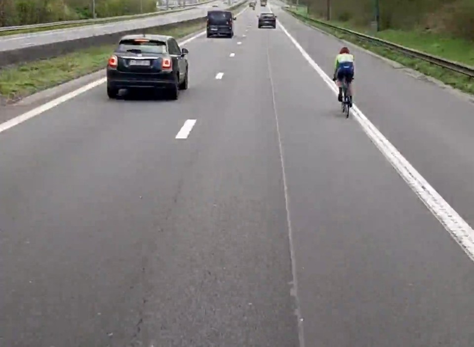 www.dumpert.nl