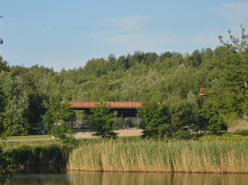 384727.jpg